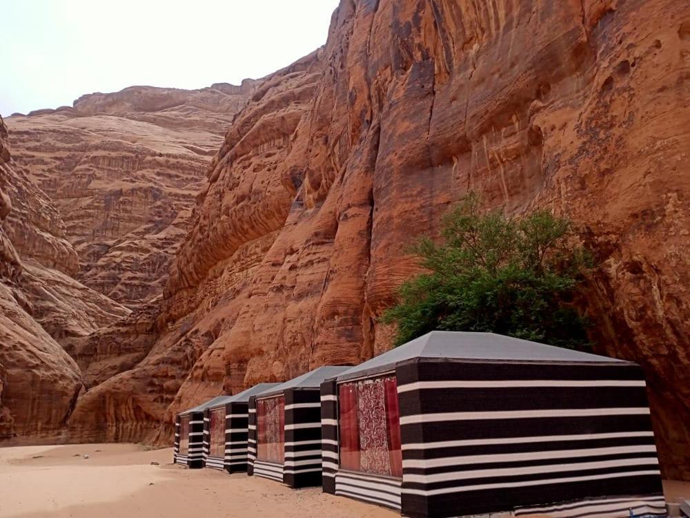Shahrazad desert, Wadi Rum Eksteriør billede