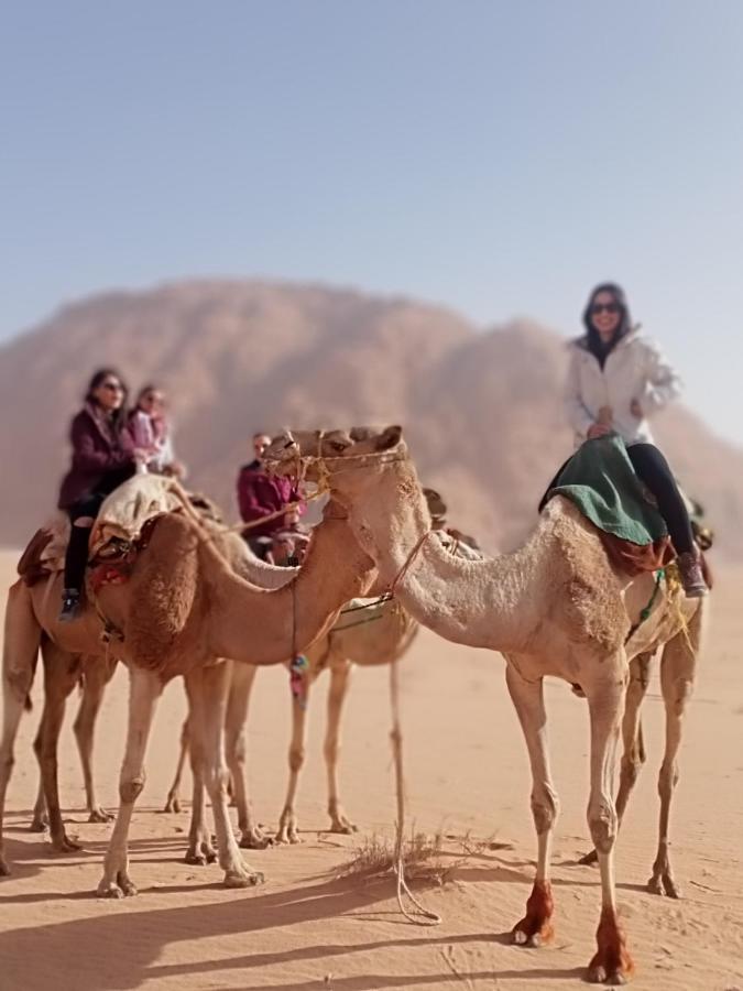 Shahrazad desert, Wadi Rum Eksteriør billede