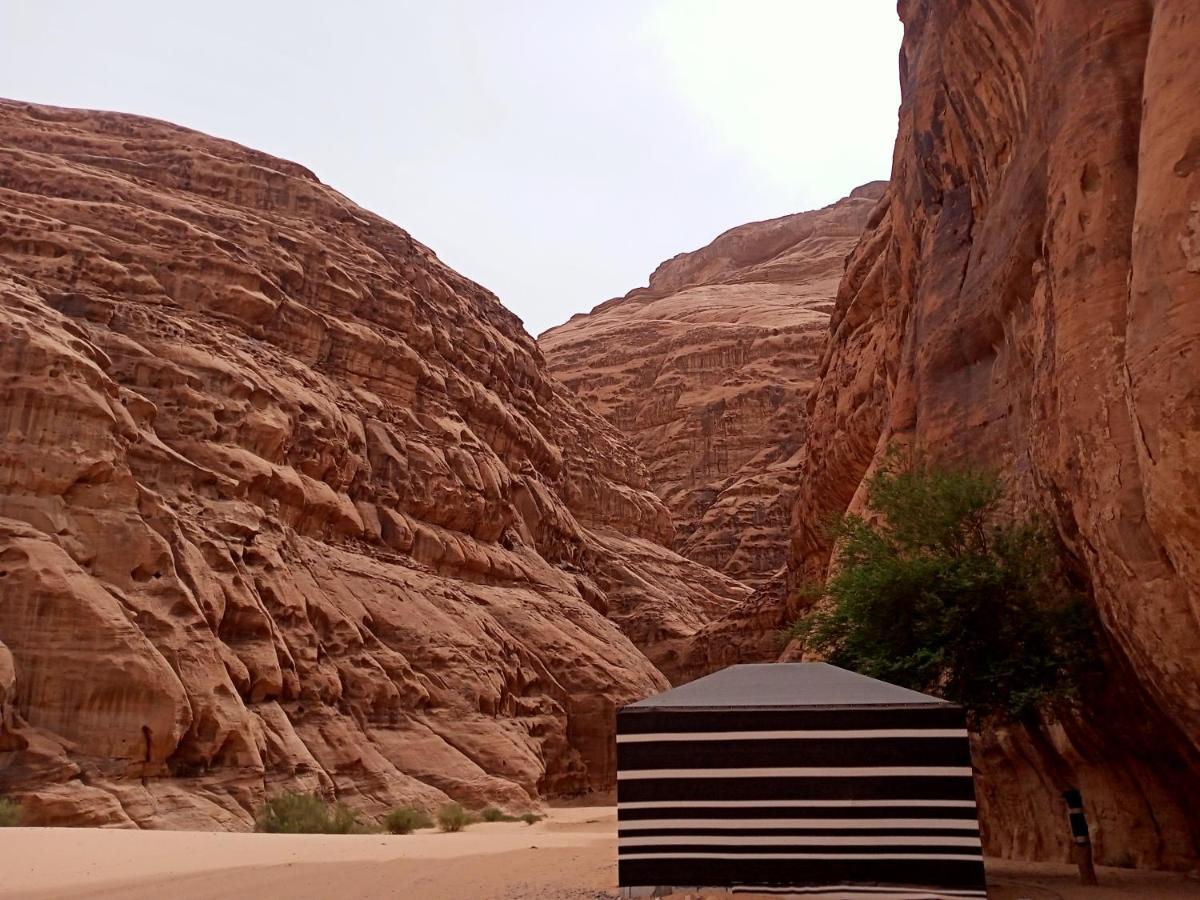 Shahrazad desert, Wadi Rum Eksteriør billede