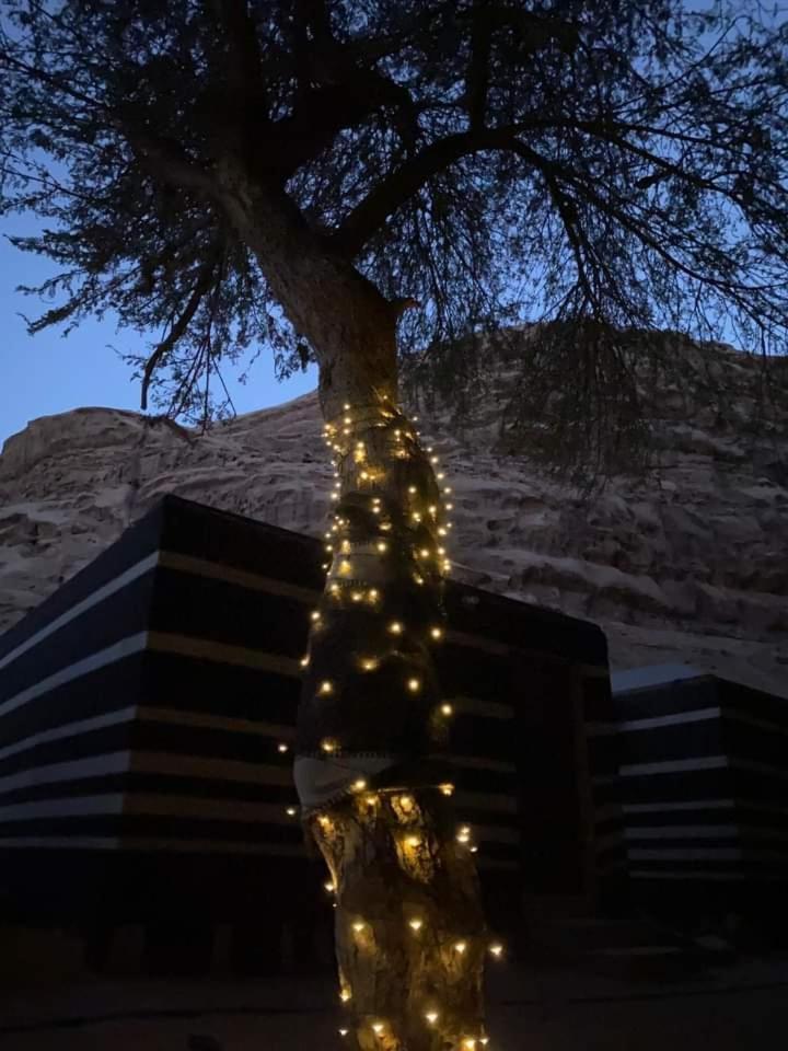 Shahrazad desert, Wadi Rum Eksteriør billede